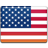 USA Flag icon